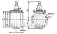 Flexible seat sealing eccentric plug valve constructral diagram(pic2)