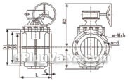 Flexible seat sealing eccentric plug valve constructral diagram(pic3)