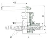 Pressure-gauge plug valve constructral diagram