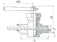 Pressure-gauge plug valve constructral diagram